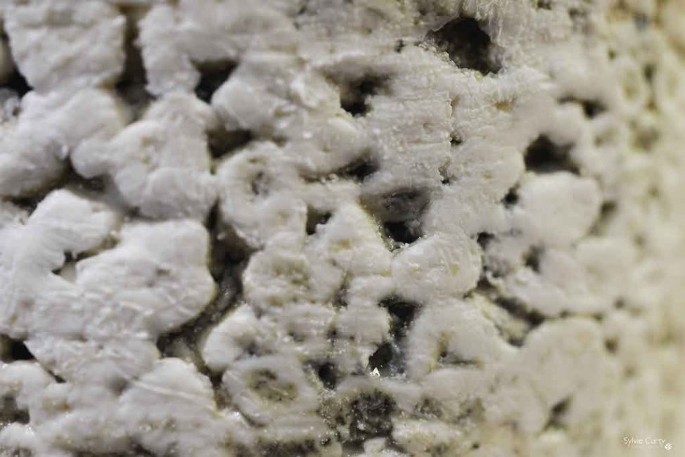 cave affinage fromages l'épicurium la Rochelle 1 (66)