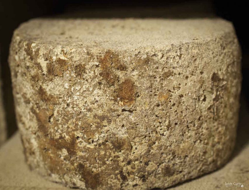 cave affinage fromages l'épicurium la Rochelle 1 (68)