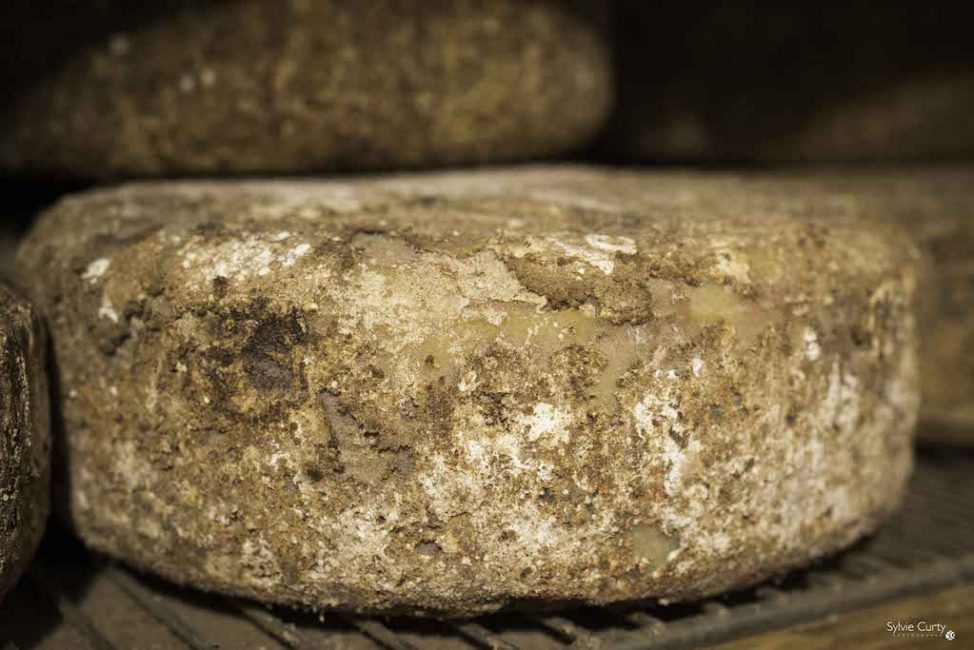 cave affinage fromages l'épicurium la Rochelle 1 (72)
