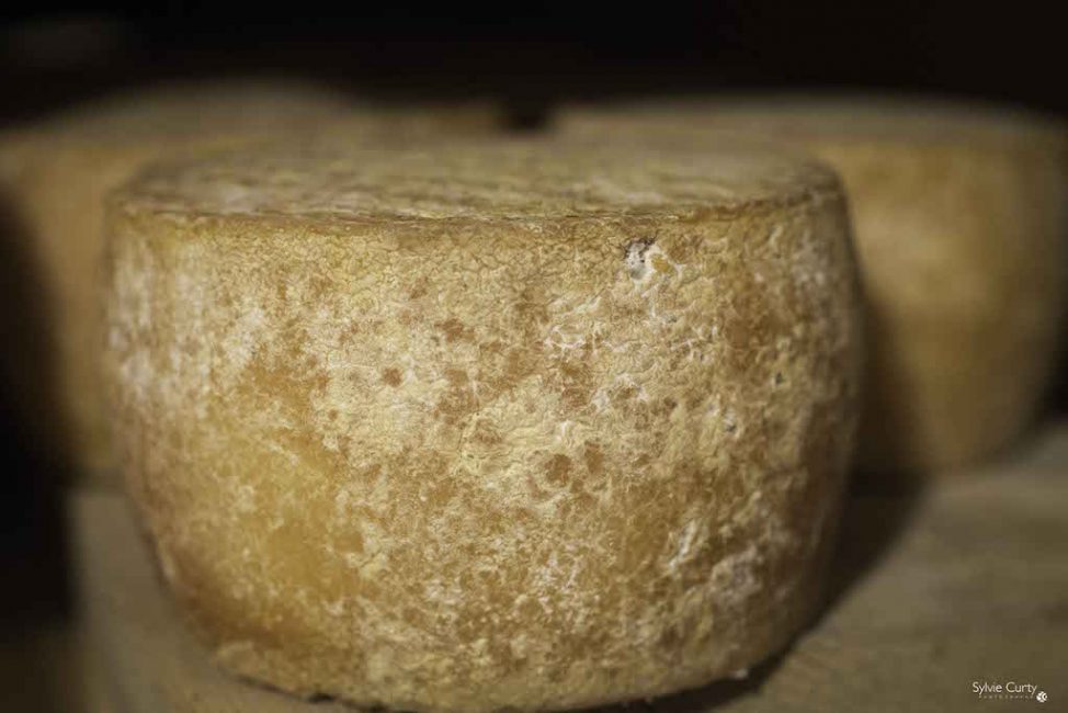 cave affinage fromages l'épicurium la Rochelle 1 (73)