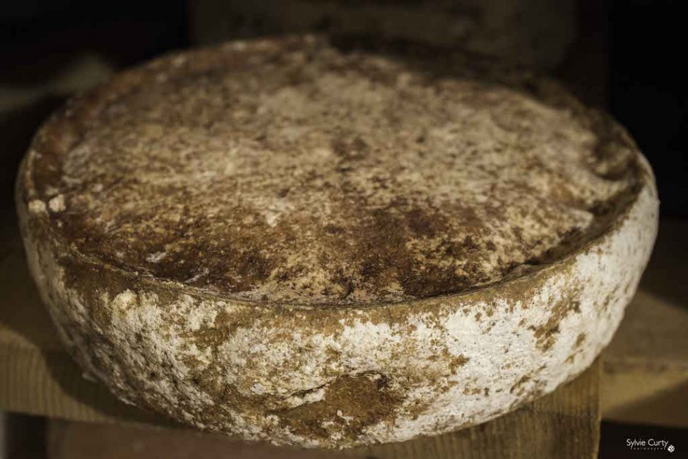 cave affinage fromages l'épicurium la Rochelle 1 (83)