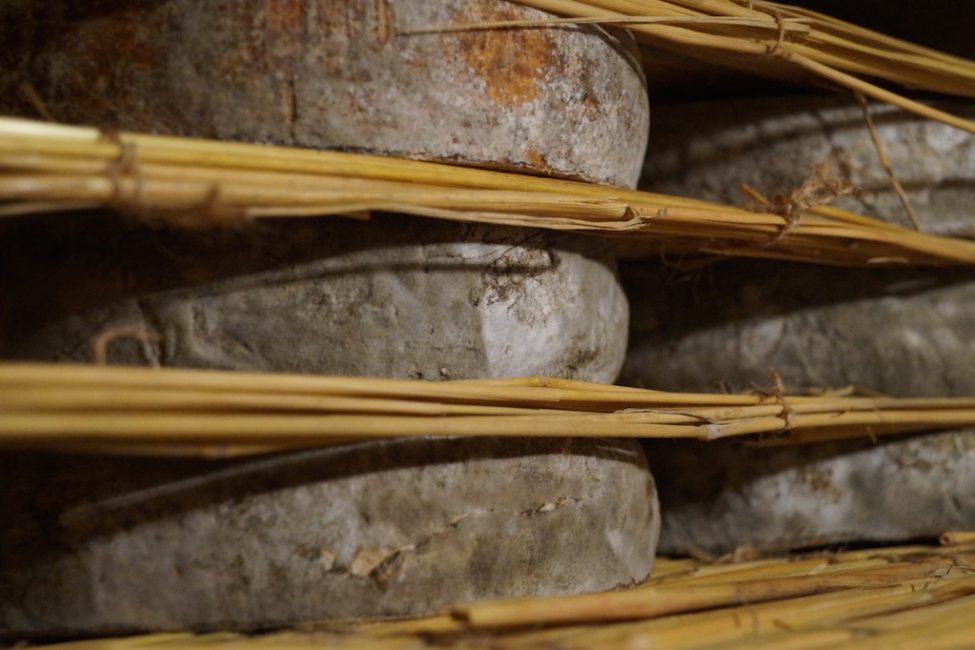 cave affinage fromages l'épicurium la Rochelle 1 (87)
