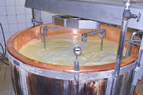 fabrication-comte-fromagerie-lepicurium-la-rochelle