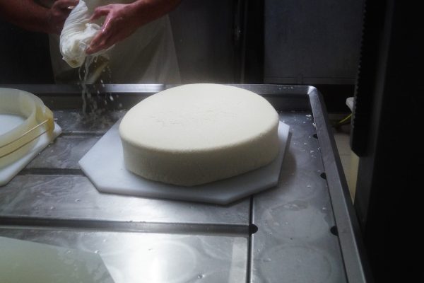 Fabrication fromage