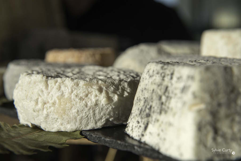 Buffet fromages fromagerie l'épicurium La Rochelle (84)
