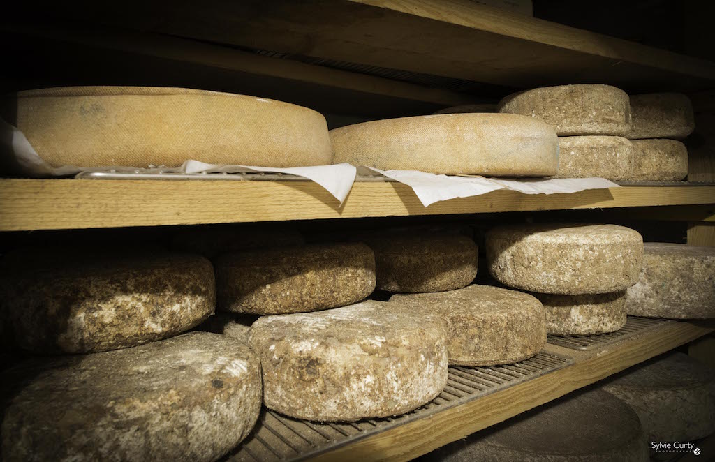 cave affinage fromages l'épicurium la Rochelle 1 (10)