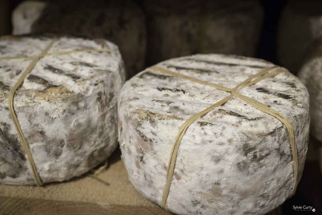cave affinage fromages l'épicurium la Rochelle 1 (69)